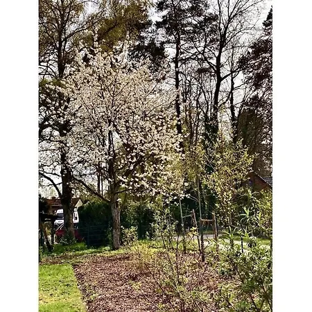 Little Heidjer House