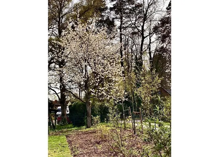 Little Heidjer House