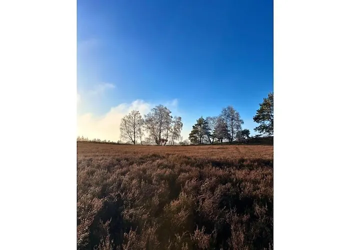 Little Heidjer House *