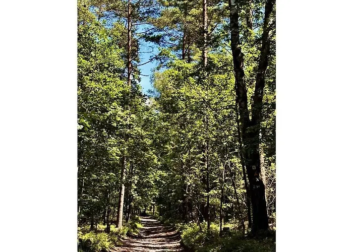 Little Heidjer House Appartamento Buchholz in der Nordheide