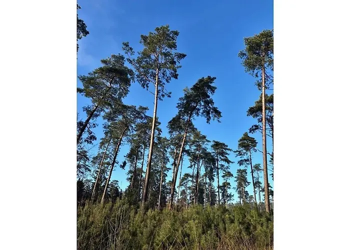 Little Heidjer House Appartamento Buchholz in der Nordheide